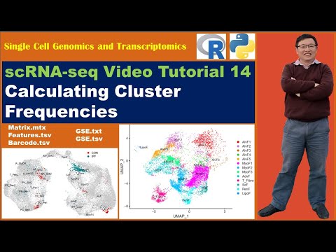 Seurat Video Tutorials--Video 14: Calculating Cluster Frequencies