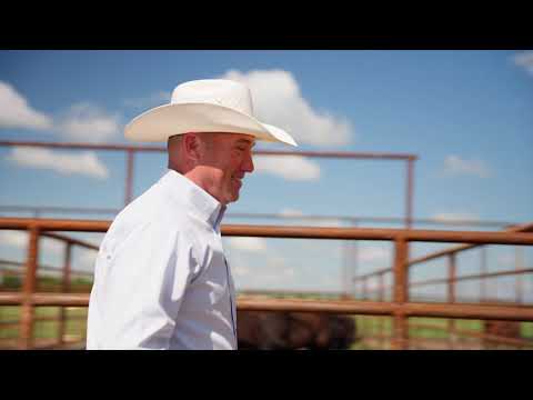 Poster image from YouTube