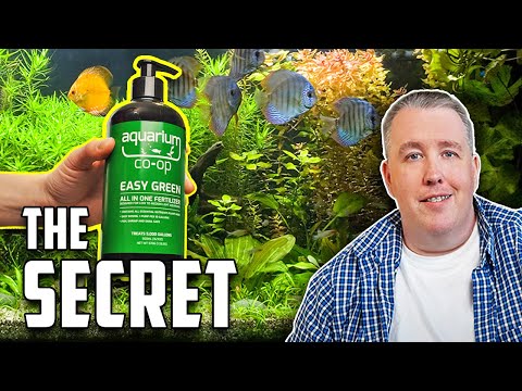 How To Boost Your Aquarium's Plant Growth In One Step