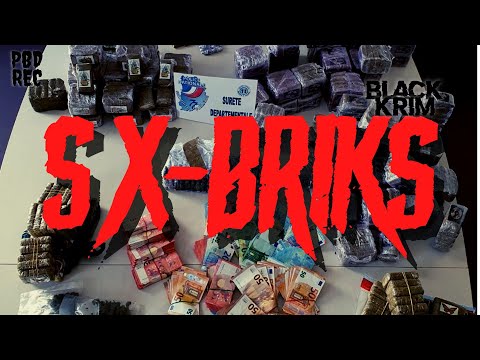 S X - BRIKS (audio)#pbdrecords
