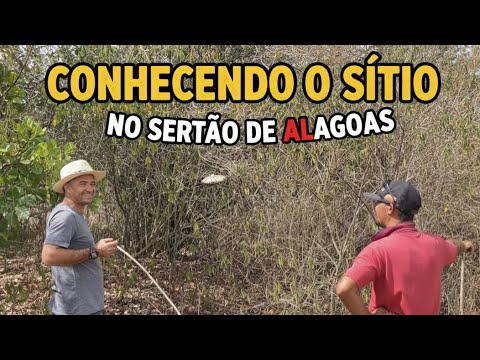 CONHECENDO O MELHOR SÍTIO DO SERTÃO DE ALAGOAS - CARNEIROS… VENHA COM NÓS ❤️
