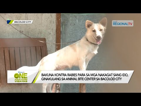 One Western Visayas: Bakuna kontra rabies para sa mga nakagat sang ido, ginakulang sa Bacolod City