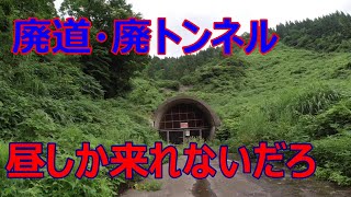 使われなくなって久しい廃道、廃トンネルで昼探索