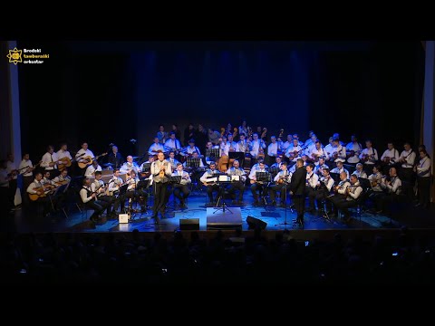 BRODSKI TAMBURAŠKI ORKESTAR - U san mi dođu tambure