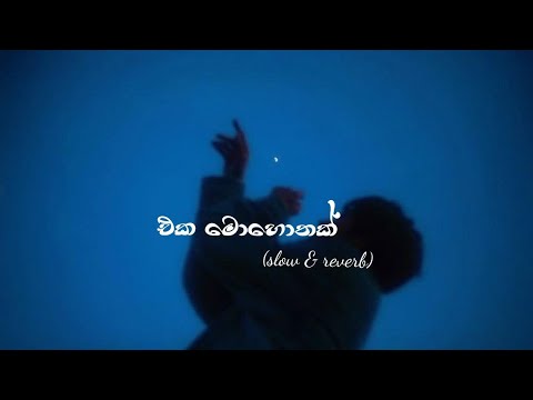 Eka Mohothak |එක මොහොතක් | slow & reverb