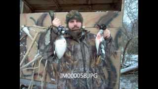 preview picture of video 'Duck Hunting Presque Isle Bay 2013'