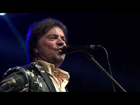 Dani Vajferta, Alen Islamovic 2019