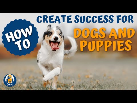 The Art of Manipulation #6