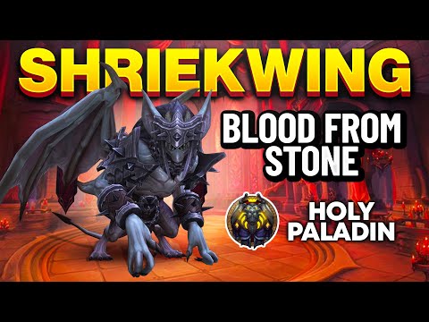 Mythic Shriekwing Guide | Holy Paladin POV | Castle Nathria