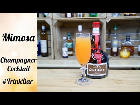 download lagu mp3 mp4 Mimosa Drink Rezept, download lagu Mimosa Drink Rezept gratis, unduh video klip Mimosa Drink Rezept