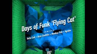 Days Of Funk — Flying Cat (Monkey Fish Remix)