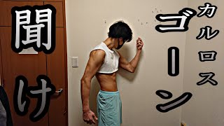 カルロス・ゴーンを救いたい