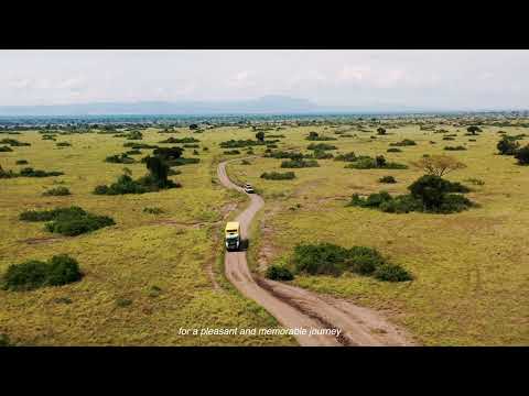 Our Safari Experience