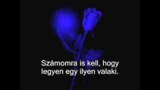 Nickelback - Gotta Be Somebody (magyar fordítás)