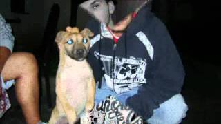 Fulzan-G - Spo Ju Shkon