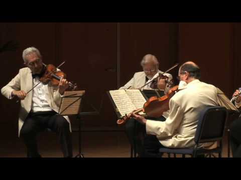 Guarneri Quartet / David Shifrin - Brahms Clarinet Quintet, Movt. 1 Part 1