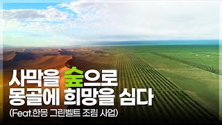 [#사막화] 황폐했던 사막을 숲으로 만든 사람들!
