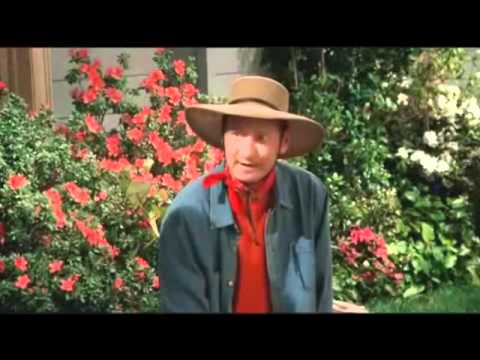 Best of Two and a half men deutsch/german