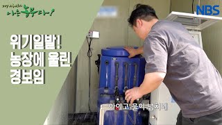 [정가(家)네 가족의 로메인 로맨스] 발로 뛰고! 공부하고!
