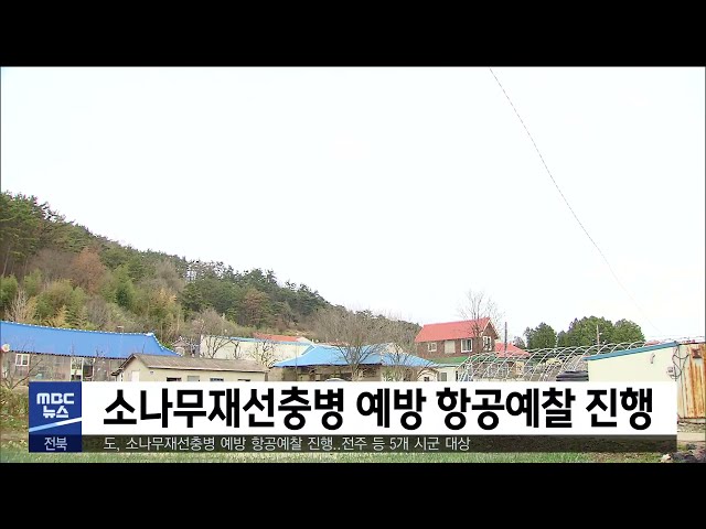 소나무재선충병 예방 항공예찰 진행