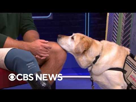 U.S. Mint and America's VetDogs unveil commemorative coins honoring service dogs