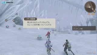 神の骸に生きて行く『Xenoblade Definitive Edition』　(捌)