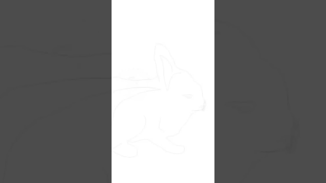 HOW TO DRAW THIS RABBIT TIMELAPSE