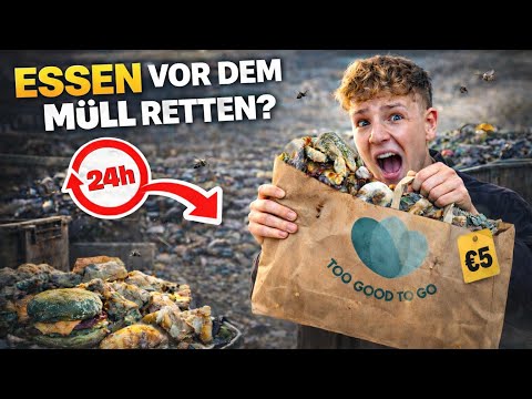 Ich habe 1 Tag LEBENSMITTEL aus dem MÜLL gegessen… (gerettet)