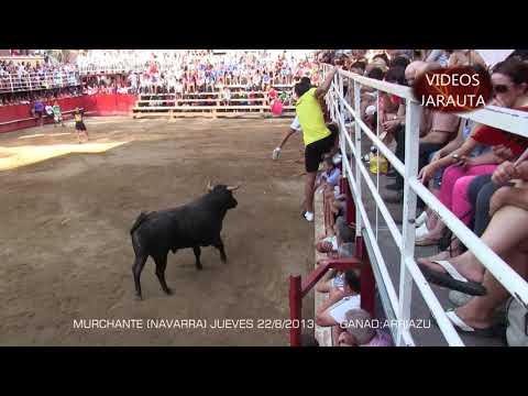 MURCHANTE (NAVARRA) ESPECTACULAR TARDE (JUEVES 22 AGOSTO 2013) ARRIAZU