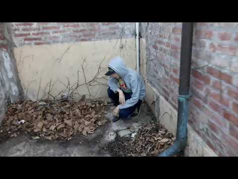 ŁÏŁ ÇØ§ŤÀ-NEW BOSS  PROD(KABBA)