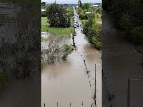 Río Biobío se desbordó en Santa Bárbara