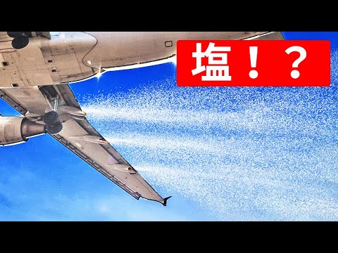 雨は果樹にどのような影響を与えますか?効果的に雨を防ぐことができるでしょうか?  庭園
