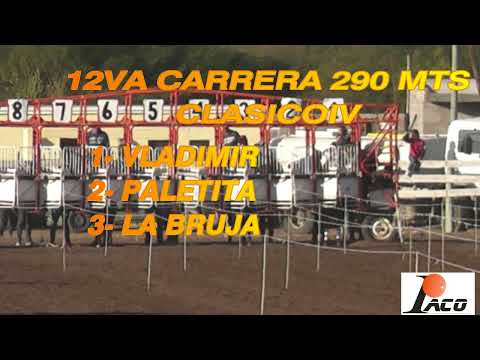 PALETITA HIPODROMO DON SOHAR CRUZ DEL EJE 05 06 2022