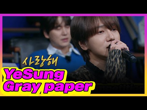 Super Junior YeSung - Gray paper