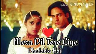Download lagu Mera Dil Tere Liye Dhadakta hai lyrics song ! Aashiqui !Anuradha Paudwal, udit Narayan & Bhushan dau mp3