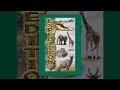 Expedition The Ultimate Safari