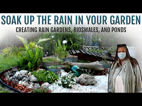 Creating Rain Gardens, Bioswales and Ponds: Soak up the Rain in your Garden