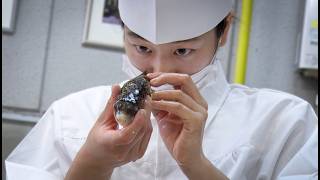 【猛毒、ミスしたら死】日本人はなぜフグを食べるのをやめないのか／映画『GUN FISH あなたの知らないフグの世界』予告編