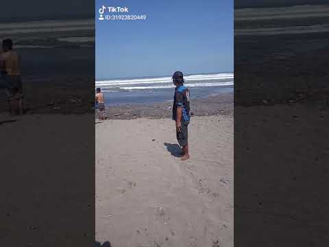 Pantai jayanti cianjur