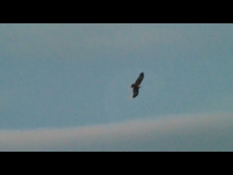 Eremophobia  -  DeCide (Official Music Video)