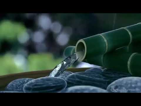 Sleep with Relaxing Rain Sounds + Bamboo Water Fountain