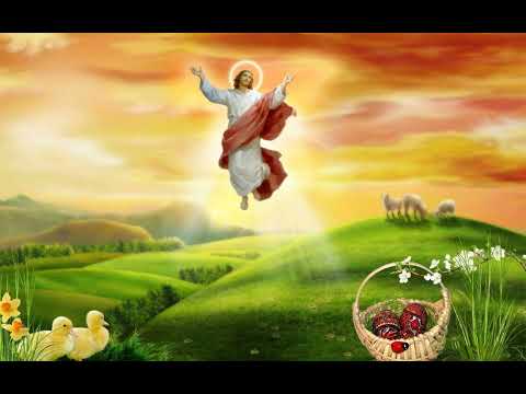 Handel- Halleujah from Messiah (432 Hz)