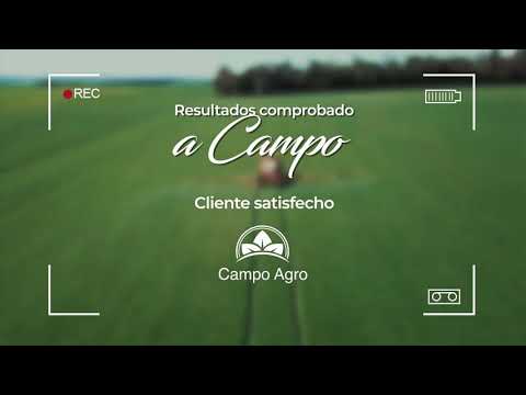 Dyanine Feix San Carlos Iruña, Alto Paraná Super Zeb Campo Agro
