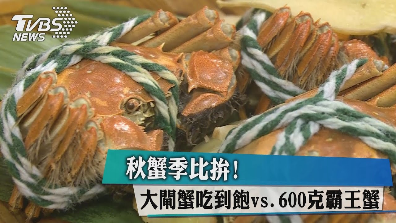 秋蟹季比拚! 大閘蟹吃到飽v.s600克霸王蟹
