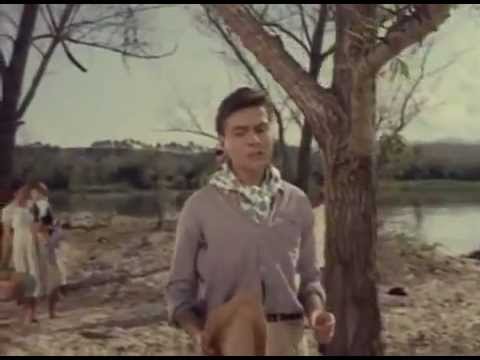 Tristeza video