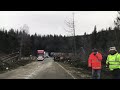 Drum Blocat De Copaci DN1A Cheia