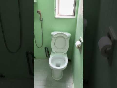 Fung Yue Mansion Youtube Video