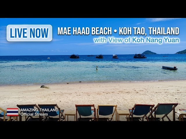 タオ島のビーチ