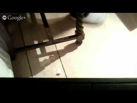 Pratyusha's  Birthday  Party