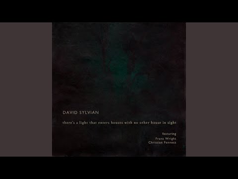 There's A Light That Enters Houses With No Other House In Sight